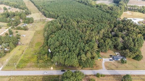 Tiny photo for 4251 Chickenfoot Road, St Pauls, NC 28384 (MLS # 750964)
