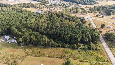 Tiny photo for 4251 Chickenfoot Road, St Pauls, NC 28384 (MLS # 750964)