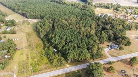 Tiny photo for 4251 Chickenfoot Road, St Pauls, NC 28384 (MLS # 750964)