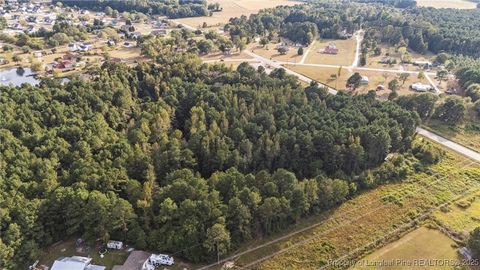 Tiny photo for 4251 Chickenfoot Road, St Pauls, NC 28384 (MLS # 750964)