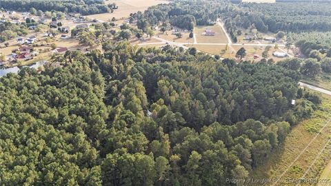 Tiny photo for 4251 Chickenfoot Road, St Pauls, NC 28384 (MLS # 750964)