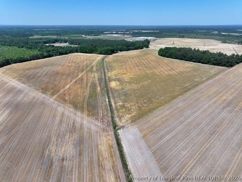 Photo of TBD N Duffie Road, Red Springs, NC 28377 (MLS # 761153)