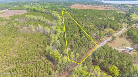 Tiny photo for 287 Candy Road, Jackson Springs, NC 27281 (MLS # 764696)