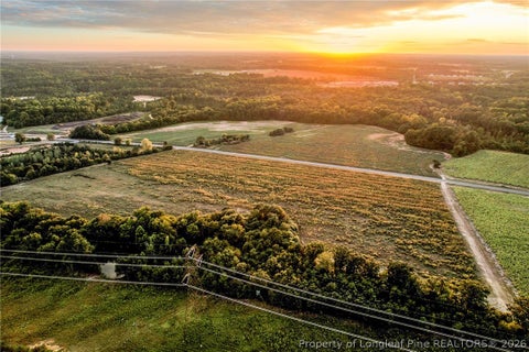 Photo of 00 Daniels (Lot 1) Road, Dunn, NC 28334 (MLS # 769549)