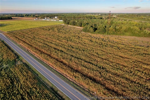 Photo of 00 Daniels (Lot 2) Road, Dunn, NC 28334 (MLS # 769552)