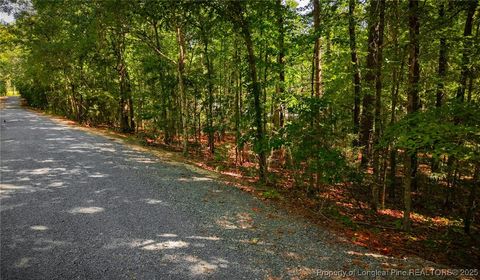 Tiny photo for 105 Shropshire Lane, West End, NC 27376 (MLS # 750817)