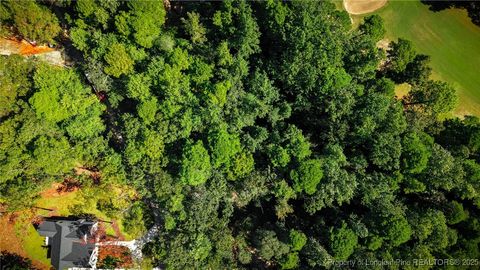 Tiny photo for 105 Shropshire Lane, West End, NC 27376 (MLS # 750817)