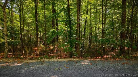 Tiny photo for 105 Shropshire Lane, West End, NC 27376 (MLS # 750817)
