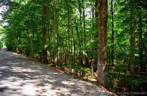 Tiny photo for 105 Shropshire Lane, West End, NC 27376 (MLS # 750817)