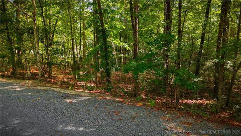 Tiny photo for 105 Shropshire Lane, West End, NC 27376 (MLS # 750817)