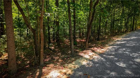 Tiny photo for 105 Shropshire Lane, West End, NC 27376 (MLS # 750817)