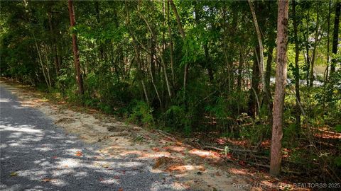 Tiny photo for 105 Shropshire Lane, West End, NC 27376 (MLS # 750817)