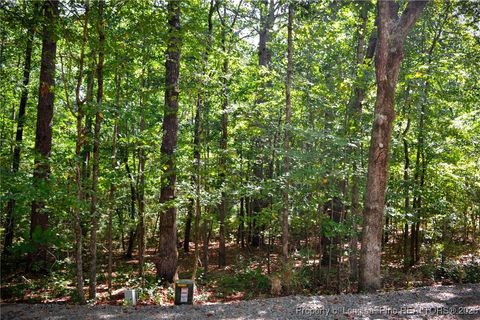 Tiny photo for 105 Shropshire Lane, West End, NC 27376 (MLS # 750817)