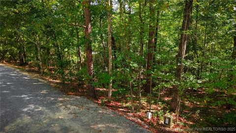 Tiny photo for 105 Shropshire Lane, West End, NC 27376 (MLS # 750817)