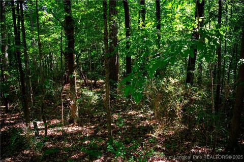 Tiny photo for 105 Shropshire Lane, West End, NC 27376 (MLS # 750817)