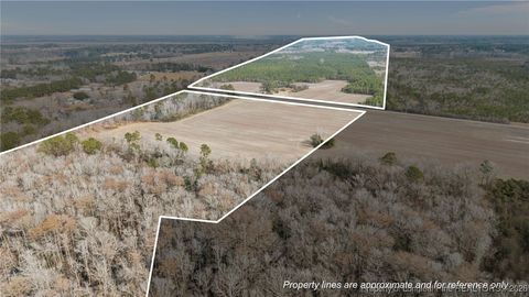 Photo of 4040 Shannon Road, Shannon, NC 28386 (MLS # 756661)