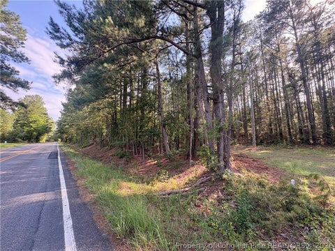 Tiny photo for S Plank Road, Sanford, NC 27330 (MLS # 767753)