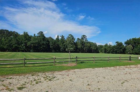 Tiny photo for 40 Capeside Court, Lillington, NC 27546 (MLS # 761098)