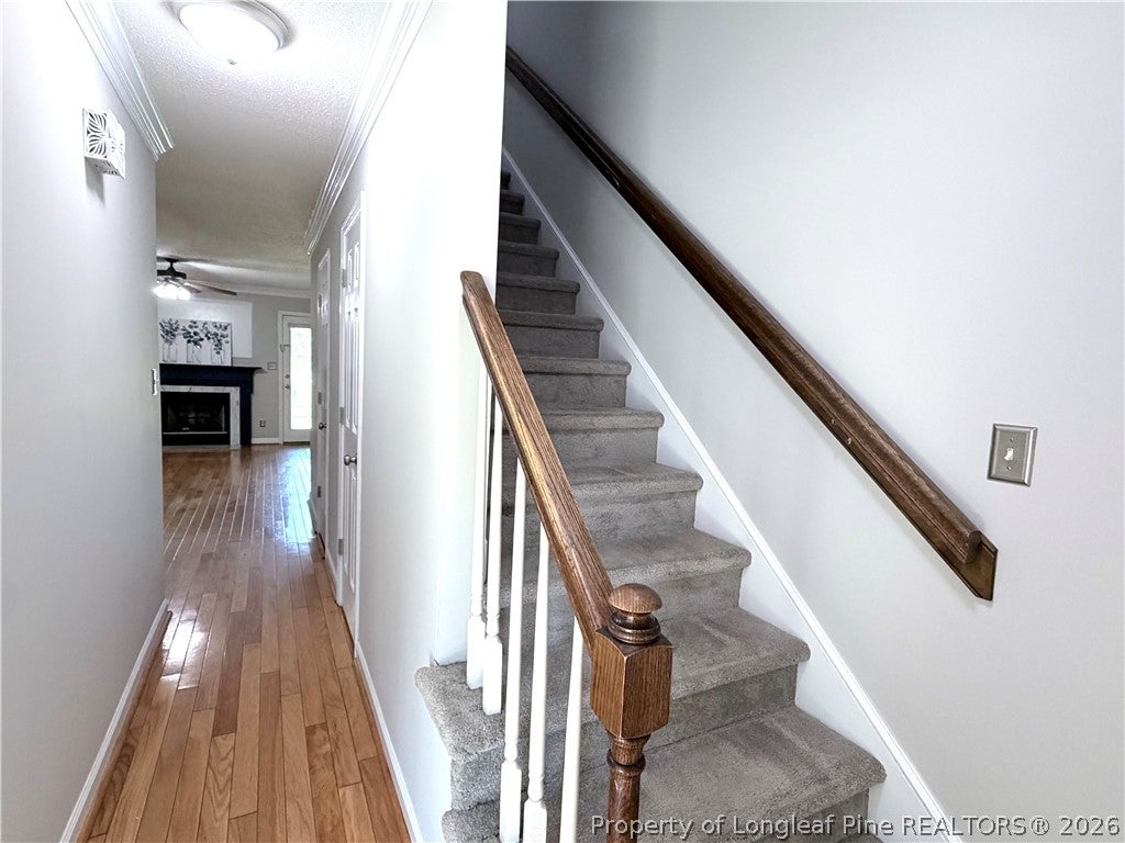 316 Ayrshire Court
