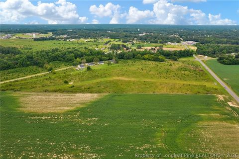 Tiny photo for Wallace Mclean Road, Raeford, NC 28376 (MLS # 763521)