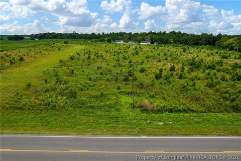 Tiny photo for Wallace Mclean Road, Raeford, NC 28376 (MLS # 763521)