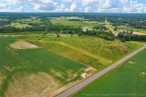 Tiny photo for Wallace Mclean Road, Raeford, NC 28376 (MLS # 763521)