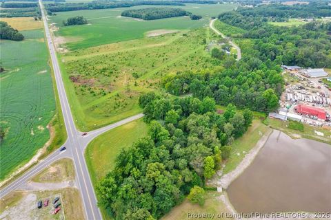 Tiny photo for Wallace Mclean Road, Raeford, NC 28376 (MLS # 763521)