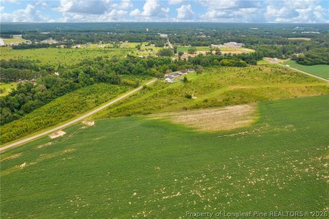 Tiny photo for Wallace Mclean Road, Raeford, NC 28376 (MLS # 763521)
