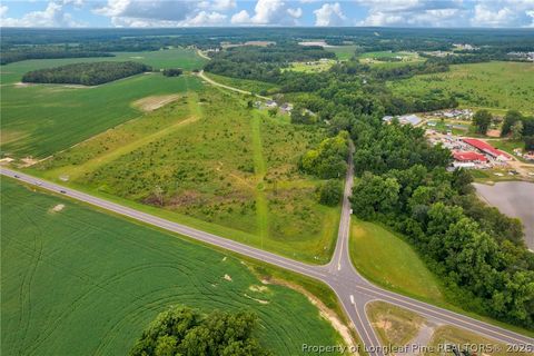 Tiny photo for Wallace Mclean Road, Raeford, NC 28376 (MLS # 763521)