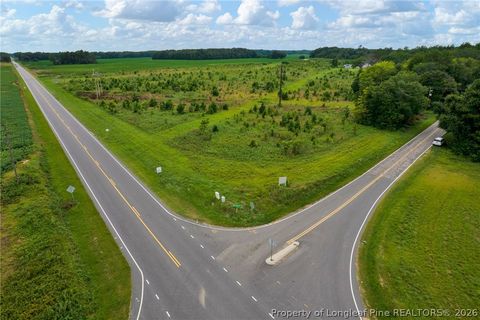 Tiny photo for Wallace Mclean Road, Raeford, NC 28376 (MLS # 763521)
