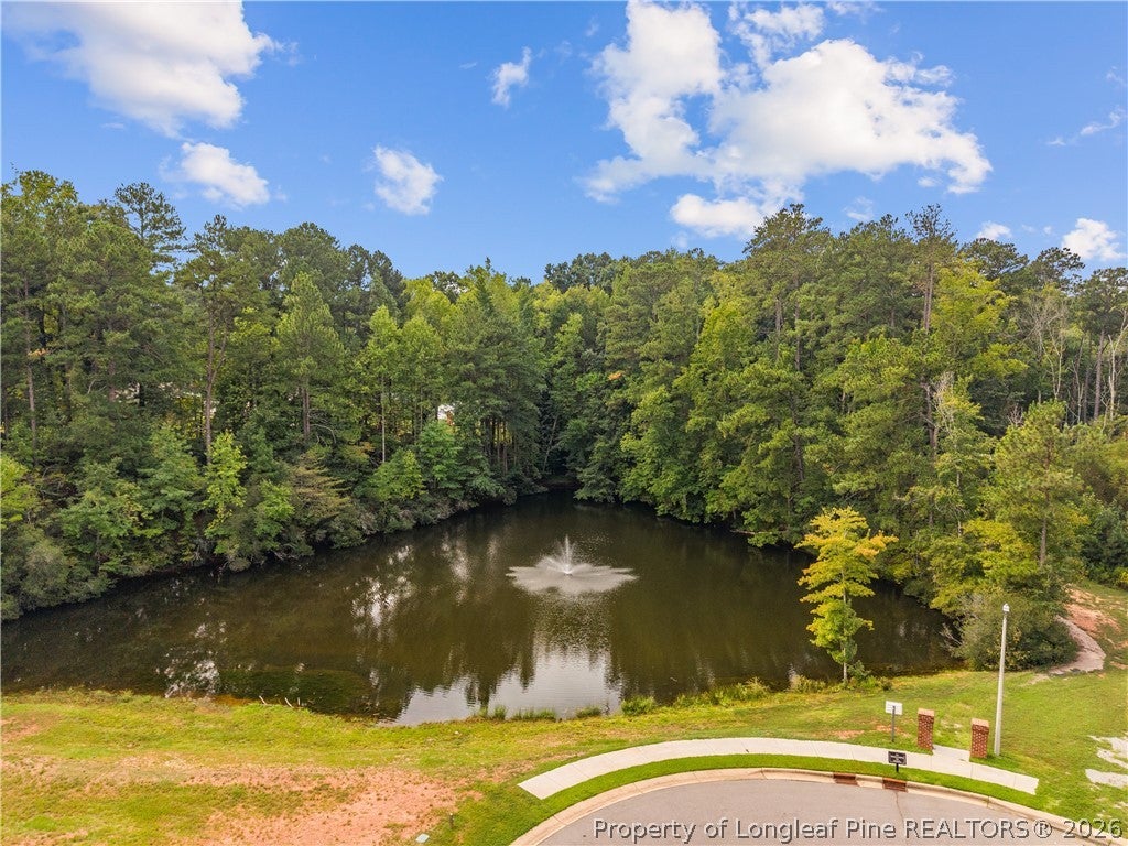 Photo of 109 Rosemont Lane, Sanford, NC 27330 (MLS # 769781)