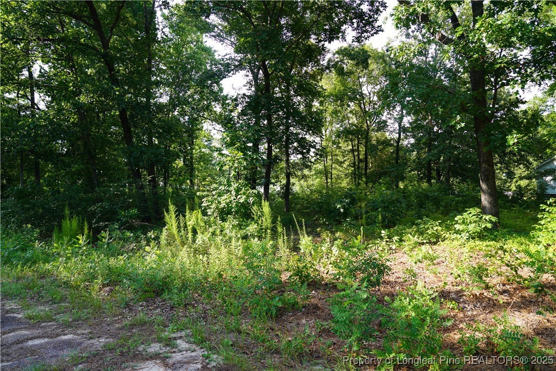 LOT 8 Lakeview Drive