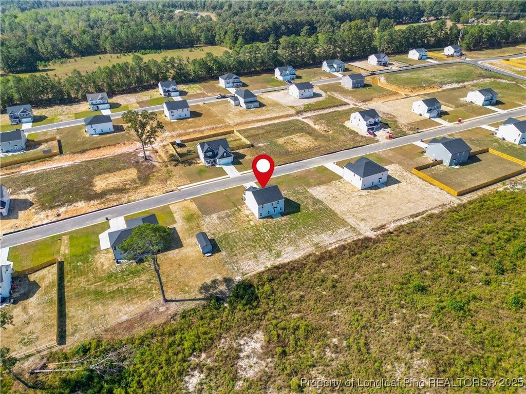 Photo of 319 Palomo Place, Raeford, NC 28376 (MLS # 751449)