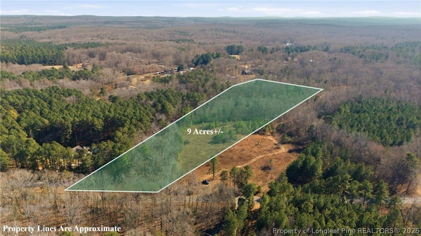 1600 MOUNT WILLING RD LOT B, EFLAND, NC 27243 - Image e5346fb5bd7ecb30342a4db3da0dac18/460974916