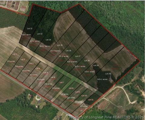 Photo of Mt. Tabor Road, Red Springs, NC 28377 (MLS # 758984)