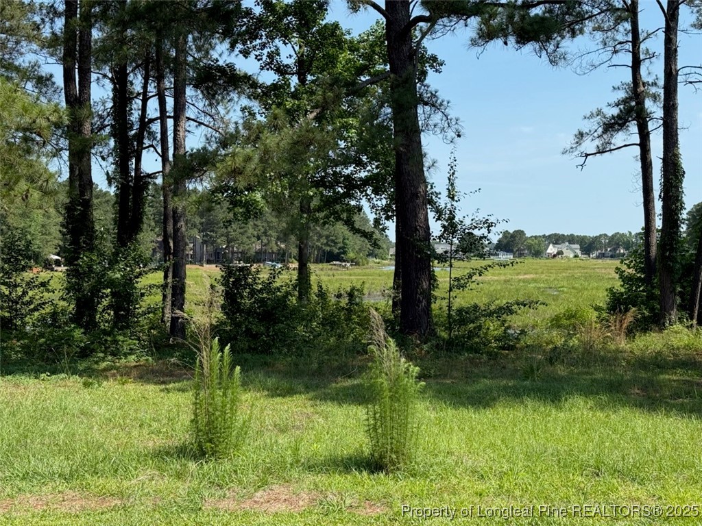 1159 Greenbriar Drive