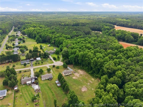 Tiny photo for 816 Dusty Winds Court, Willow Springs, NC 27592 (MLS # 765028)