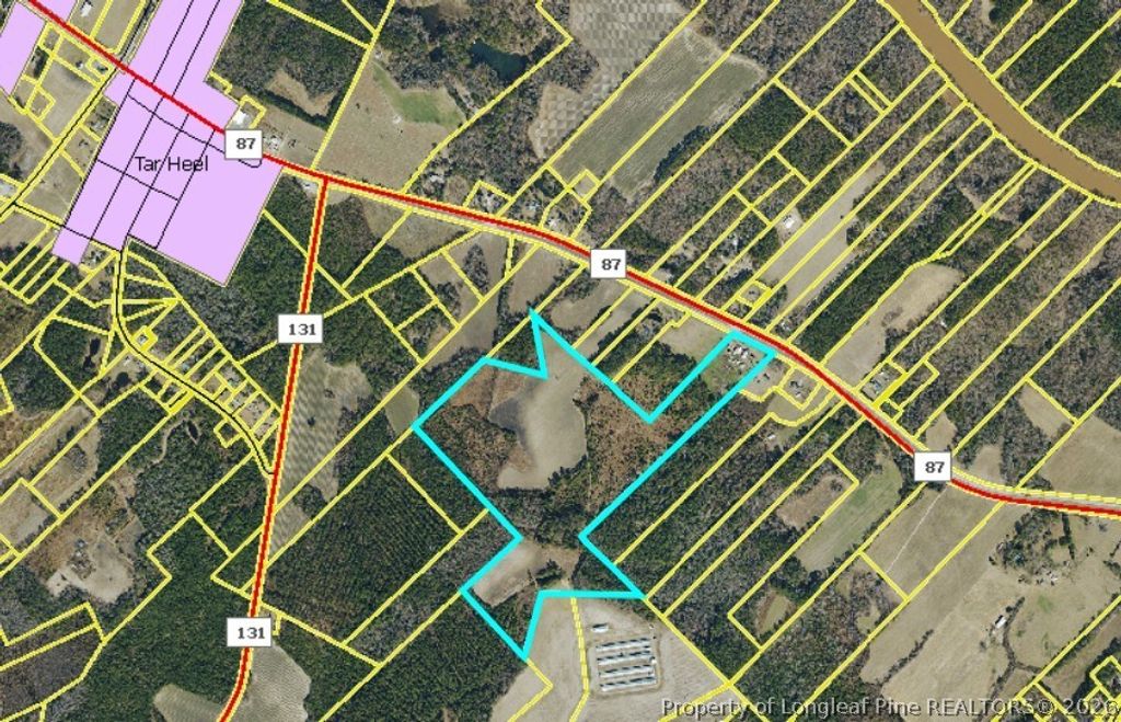 Photo of 13441 NC Highway 87 Hwy W, Tar Heel, NC 28392 (MLS # 759473)