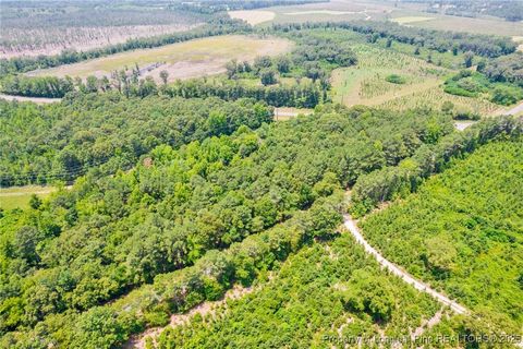 Tiny photo for Seals Road, Laurinburg, NC 28352 (MLS # 751212)