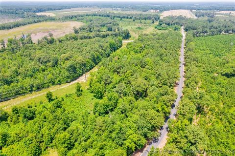 Tiny photo for Seals Road, Laurinburg, NC 28352 (MLS # 751212)