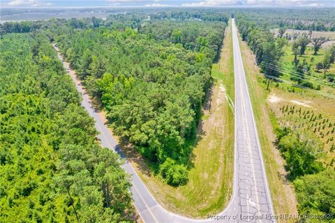 Tiny photo for Seals Road, Laurinburg, NC 28352 (MLS # 751212)