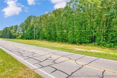 Tiny photo for Seals Road, Laurinburg, NC 28352 (MLS # 751212)