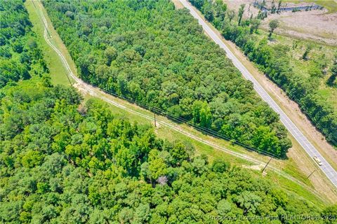 Tiny photo for Seals Road, Laurinburg, NC 28352 (MLS # 751212)