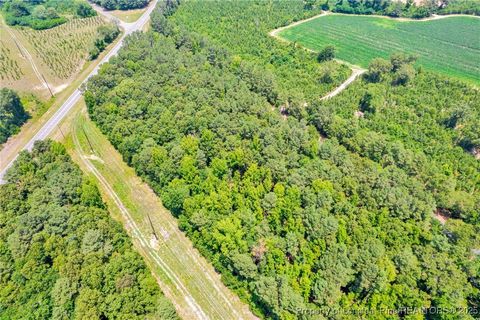 Tiny photo for Seals Road, Laurinburg, NC 28352 (MLS # 751212)