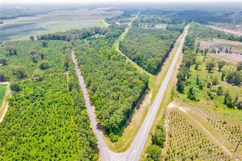 Tiny photo for Seals Road, Laurinburg, NC 28352 (MLS # 751212)