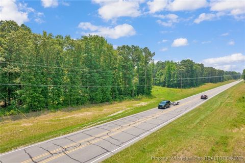 Tiny photo for Seals Road, Laurinburg, NC 28352 (MLS # 751212)