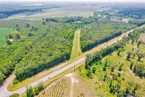 Tiny photo for Seals Road, Laurinburg, NC 28352 (MLS # 751212)