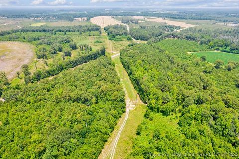Tiny photo for Seals Road, Laurinburg, NC 28352 (MLS # 751212)
