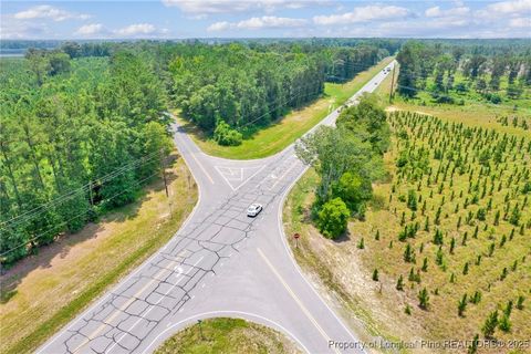 Tiny photo for Seals Road, Laurinburg, NC 28352 (MLS # 751212)