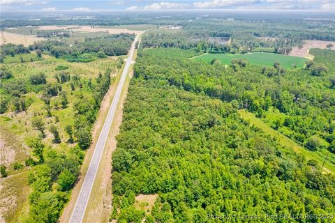 Tiny photo for Seals Road, Laurinburg, NC 28352 (MLS # 751212)